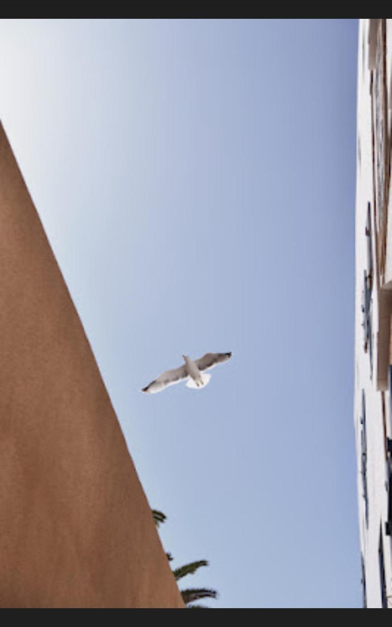 Loft Incroyable En Medina Apartment Essaouira Bagian luar foto